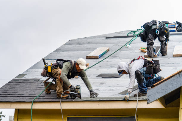 Professional Flat Roof Repair technician working in Augusta, WI
